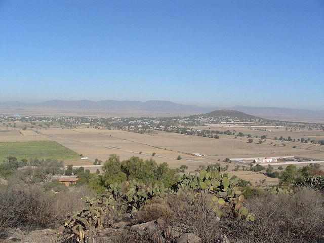 Panormica 