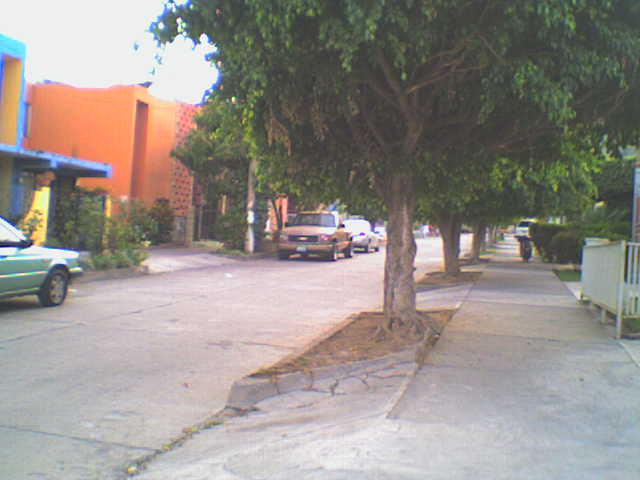 lopez amteos floresta