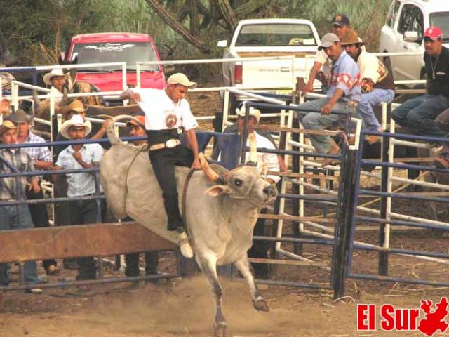 FIESTAS TAURINAS