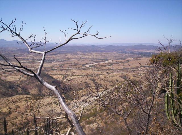 EL ENGUEL CAIDO