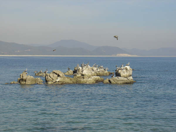 Playa de la colorada