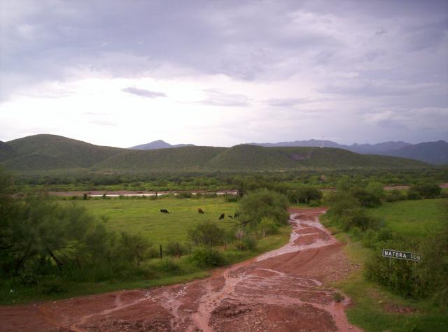 Vista al rio desde la entrada de Sahuaripa