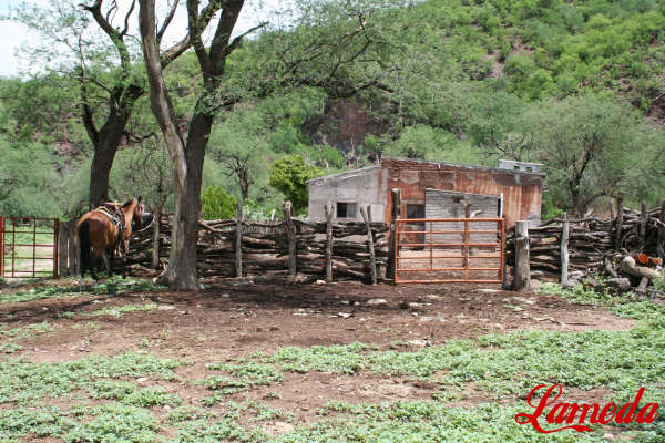 CASA FAMILIA ENCINAS QUIJADA