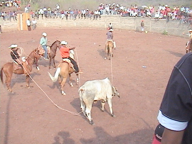 JARIPEO