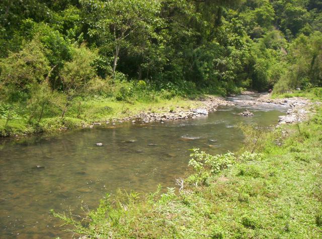 arroyo de mecapalapa