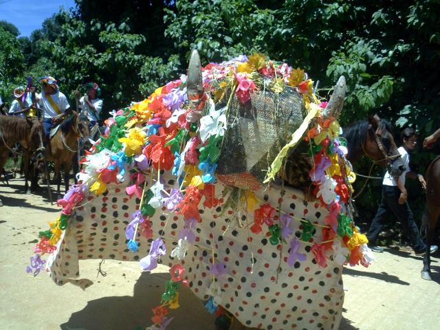 toro de petate