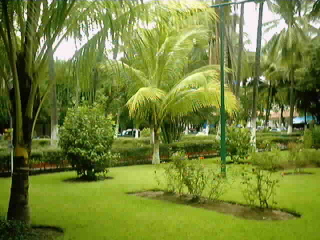 jardin de la huacana