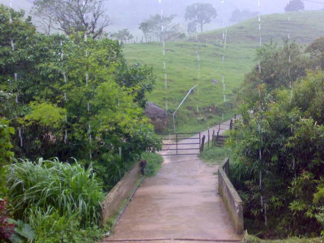 PUENTE HACIA LA PRIMARIA