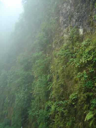 paisaje de un cerro de Tlanchinol