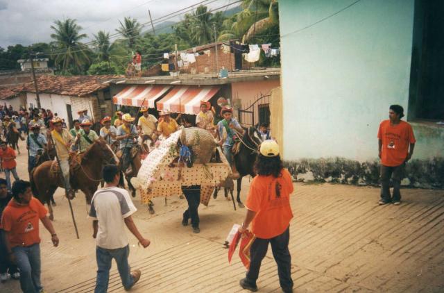 Toro de Petate