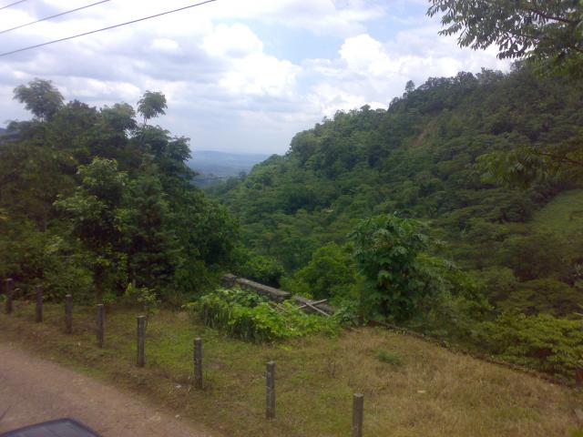 VISTA HACIA VERACRUZ