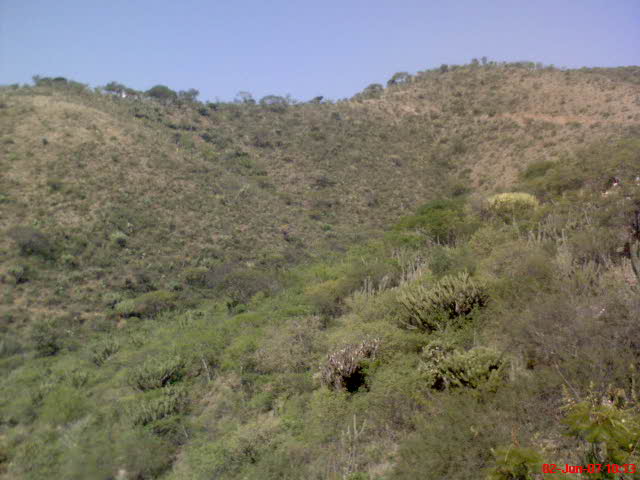 los cerros