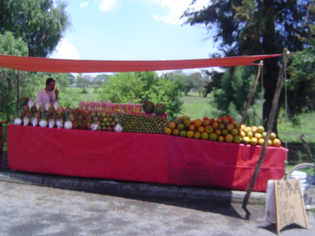 The coco stand.