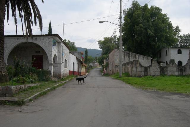 calle principal