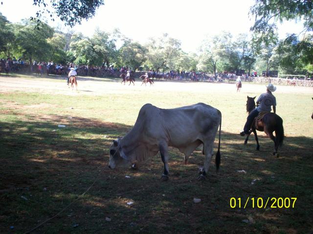 jaripeo en el corral