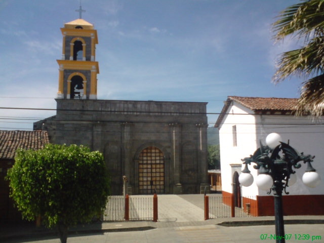 TECARIO LUGAR DE PAJAROS CARPINTEROS