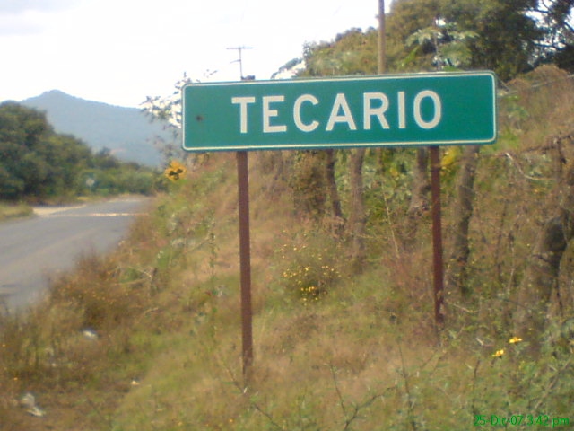 TECARIO  ANUNCIO FRENTE A LA ESCUELA PRIMARIA 