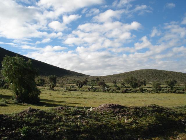 campo