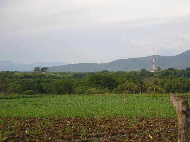 cocula