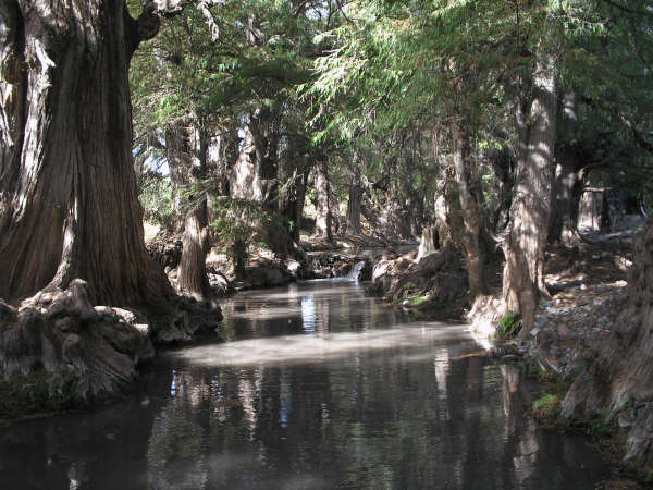 RIO AHUEHUELLO