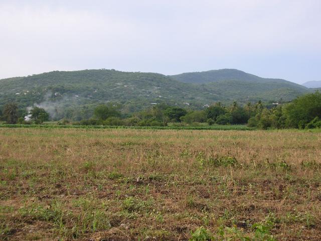 el campo de Cocula ,Gro.