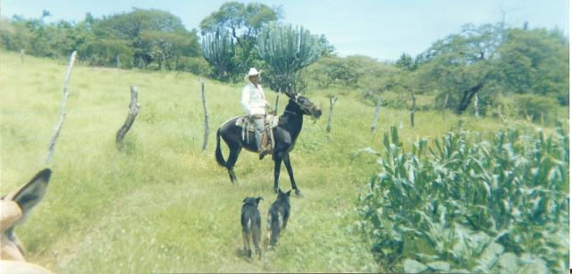 PAISAJES AGRICOLAS DEL SR JOSE CANTORAN  DE ZEPAT 