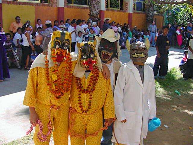 tigres y tecuanes