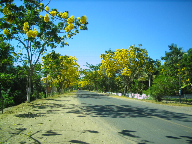 bienvenidos