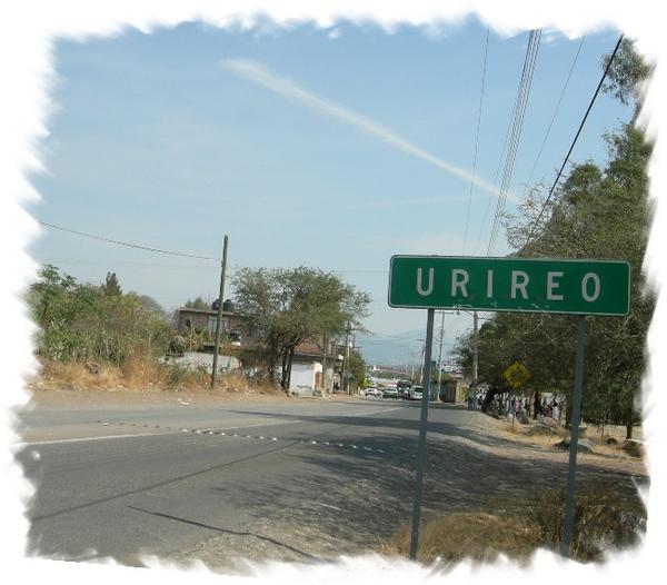 urireo