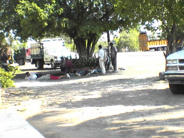 Cortadores de mango