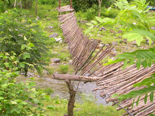 EL PUENTE DE PILCUATLA