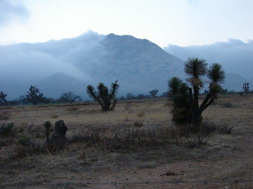 AMANECER EN EL CERRO DEL PEON