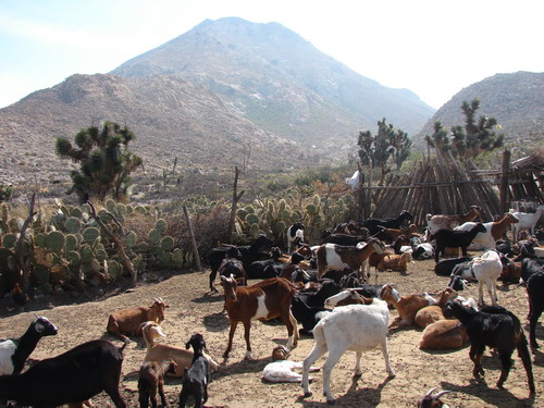 CERRO DEL PEON