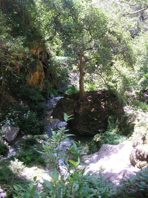 EL SALTO EN COCULA, GRO.