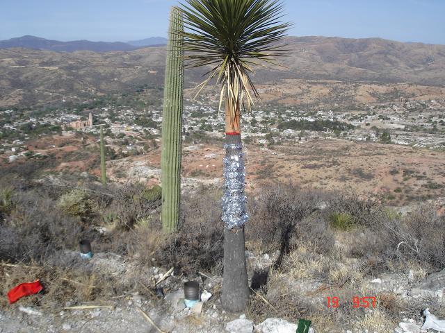 Chazumba desde la cima del Yucuzaac