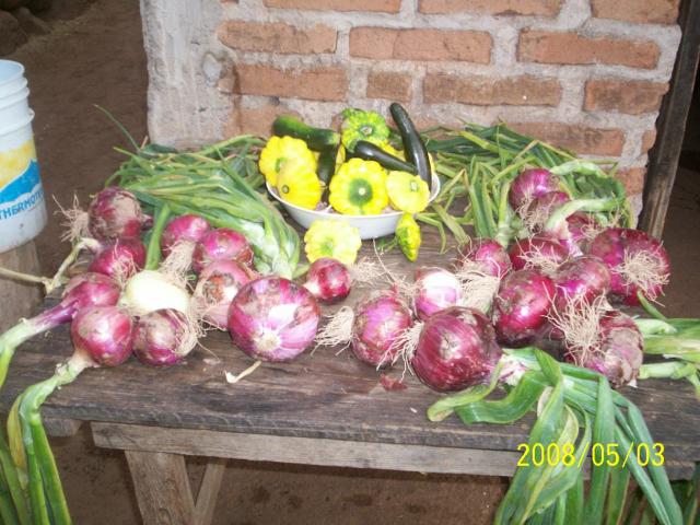 SEGUIMOS TRABAJANDO