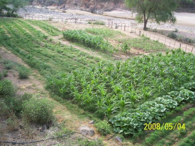 LA TIERRA DE CHUBALI