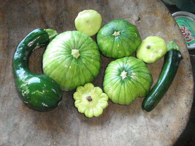 CALABACITAS