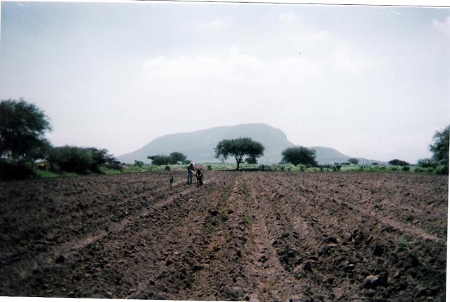 ARANDO LA TIERRA EN HUITEX