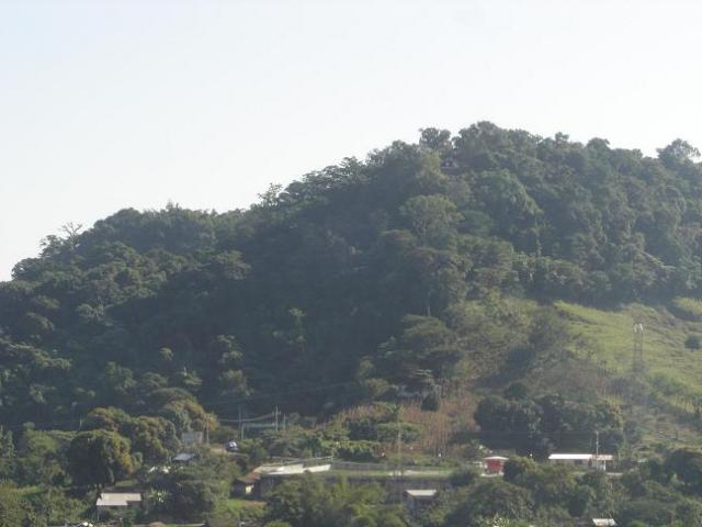 Cerrito