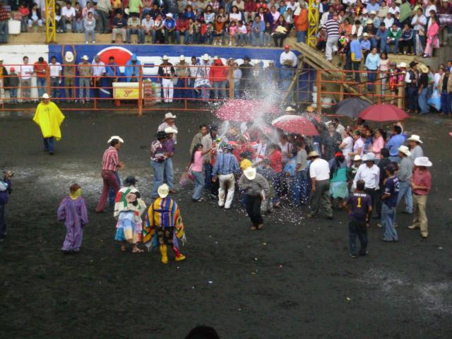 Jaripeo