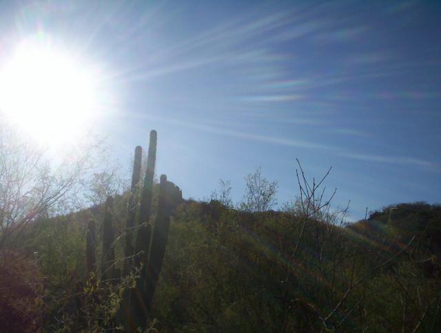 CERRO DEL MONITO EN MOVAS