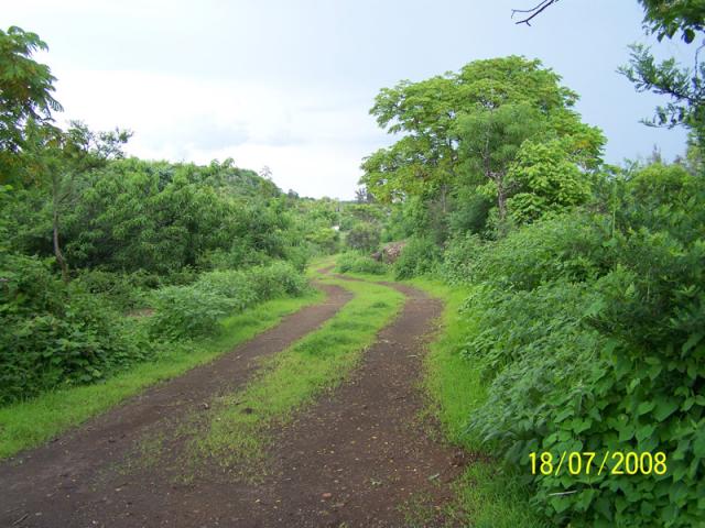 Camino al revenidero