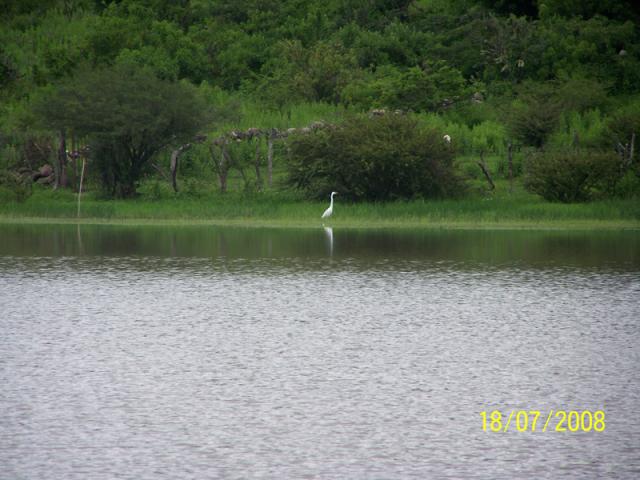 agua, fauna y flora