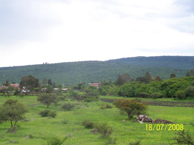 al fondo la loma