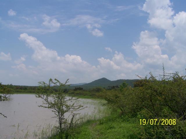 El cerro del conejo