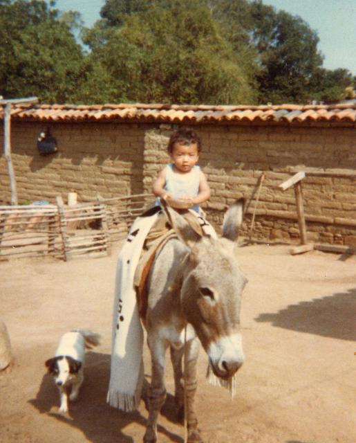 el charro  de poturo ---- haber suelten el toro