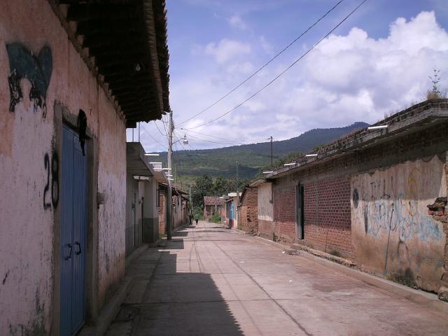 Calle amiliano Zapata Acachuen mich.