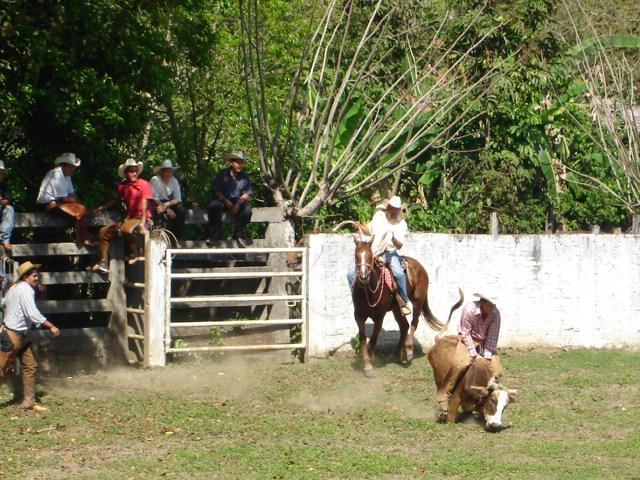 MECAPALAPA