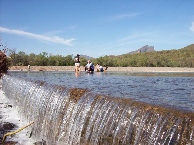 Bado puente de Movas